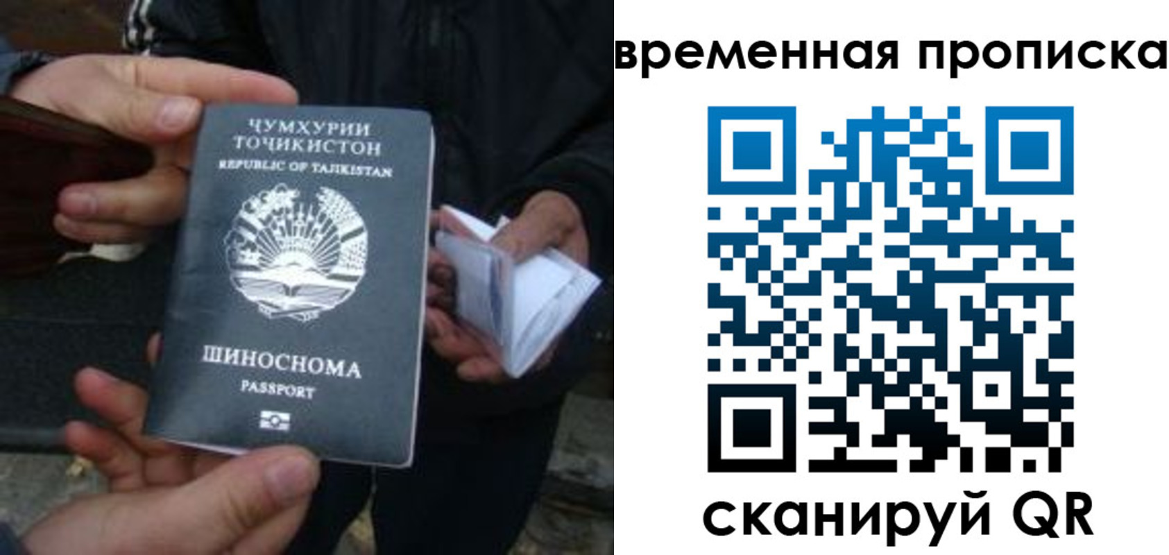 прописка законно в Белой Калитве